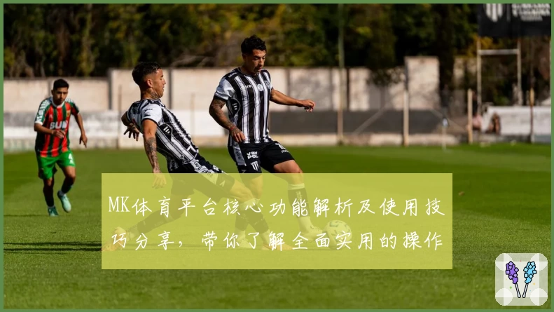 MK体育平台核心功能解析及使用技巧分享，带你了解全面实用的操作体验